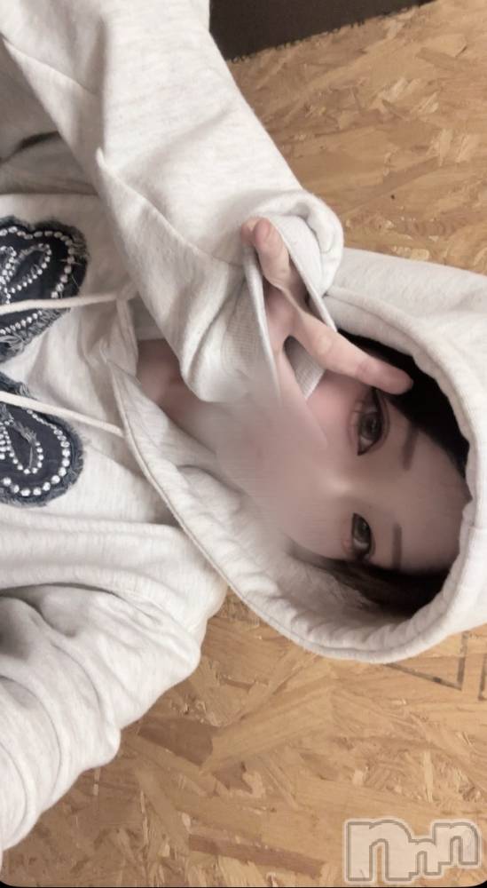Įʥå륺СL'asile(饸) 512̥֥512 2326ʬΥ֥