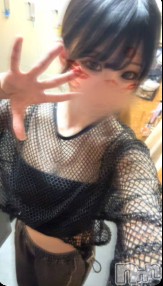 Įʥå륺СL'asile(饸) 73̥֥73 2326ʬΥ֥