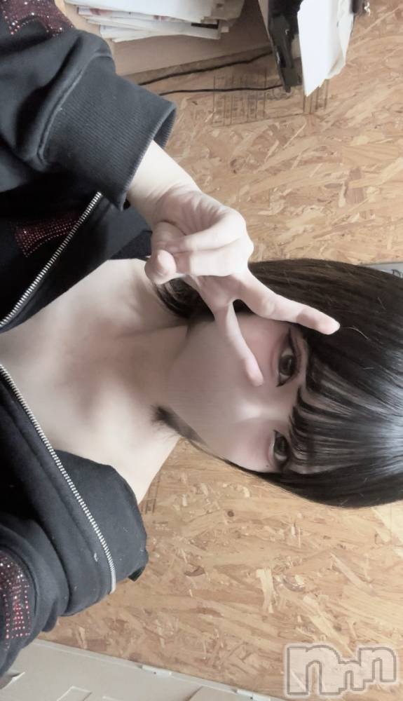 Įʥå륺СL'asile(饸) 730̥֥730 2305ʬΥ֥
