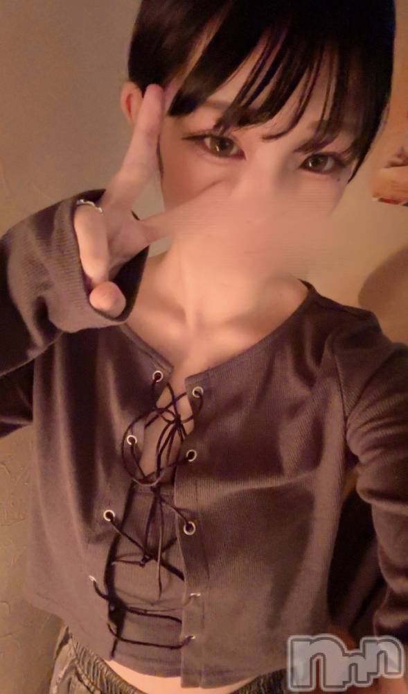 Įʥå륺СL'asile(饸) 830̥֥830 2320ʬΥ֥