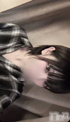 Įʥå륺СL'asile(饸) (20)66̥֥66 0002ʬΥ֥