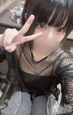 Įʥå륺СL'asile(饸) (20)78̥֥78 2347ʬΥ֥