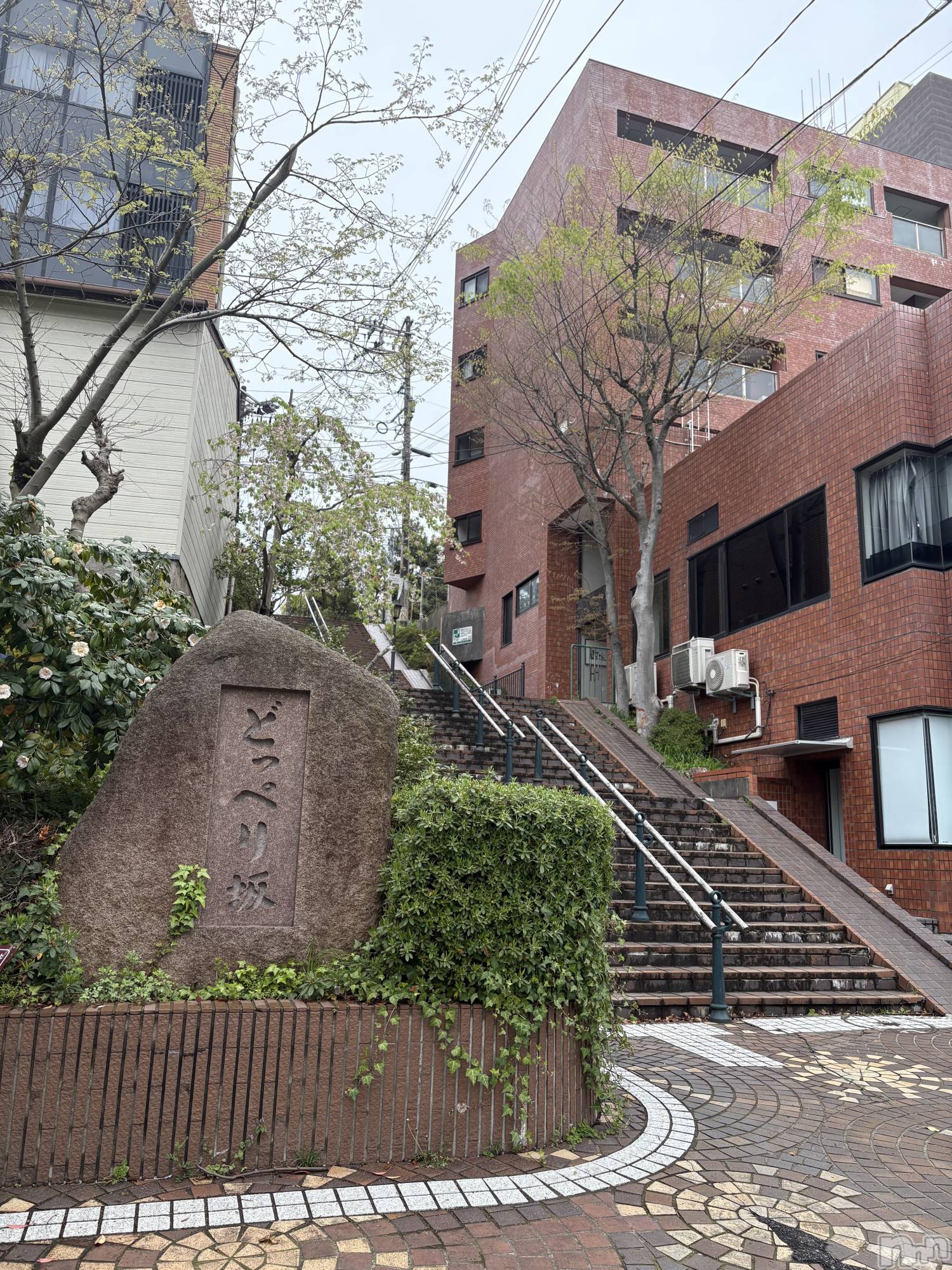 ʥå륺СSNACK Himawari(ʥåҥޥ) 2025ǯ527̥֥֤ߤĤǤ🌟