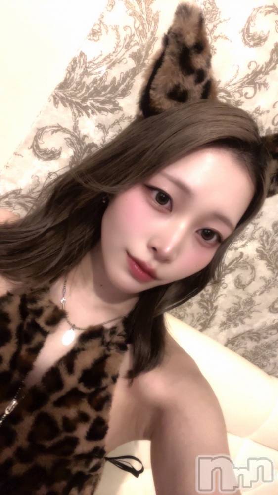 ʥå륺С󥻥ץȥե ˤޤ(󥻥ץȥե˥ޥ륭奦ǥ) ʤ57ֲ̥֥ʴɤɡ