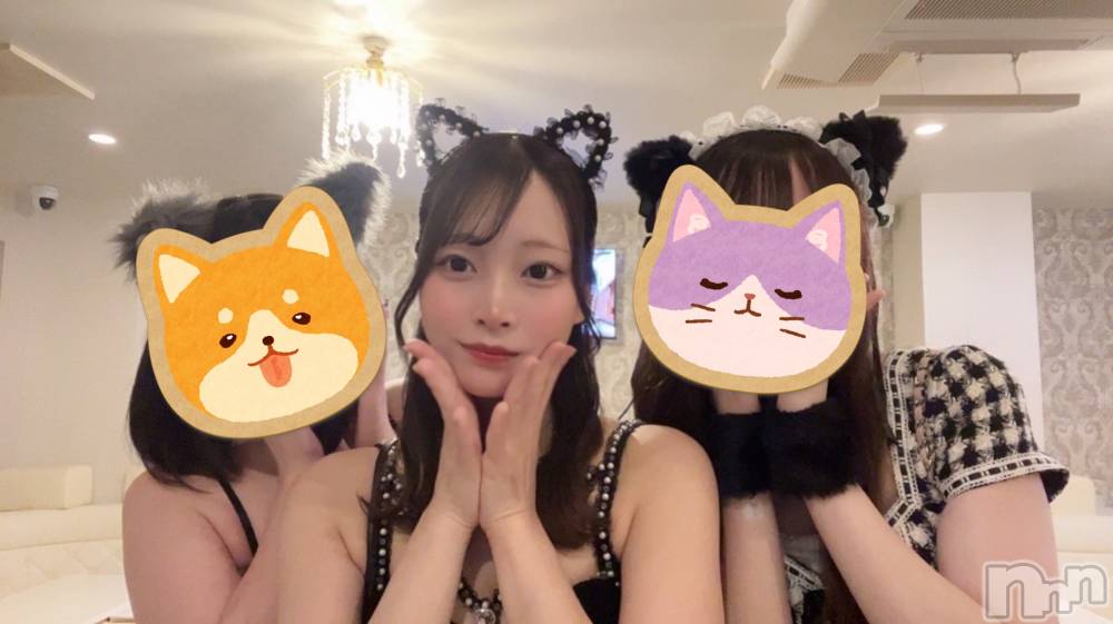 ʥå륺С󥻥ץȥե ˤޤ(󥻥ץȥե˥ޥ륭奦ǥ) ʤ75̥֥֥ܥĤˤʤä̿