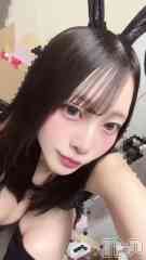 ����������ʥå��������륺�С� ���󥻥ץȥ��ե� ���ˤޤ����(���󥻥ץȥ��ե����˥ޥ륭�奦�ǥ�) ����ʤ�4��11��ư��ֳڤ����ä���🌼��