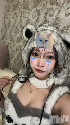 ʥå륺С󥻥ץȥե ˤޤ(󥻥ץȥե˥ޥ륭奦ǥ) ʤ111̥֥֤١