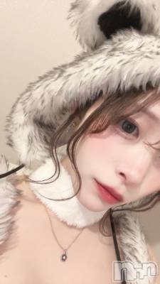 ʥå륺С󥻥ץȥե ˤޤ(󥻥ץȥե˥ޥ륭奦ǥ) ʤ118̥֥֤դäġ