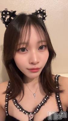 ʥå륺С󥻥ץȥե ˤޤ(󥻥ץȥե˥ޥ륭奦ǥ) ʤ38̥֥38 2002ʬΥ֥