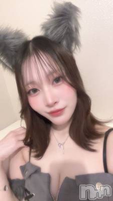 ʥå륺С󥻥ץȥե ˤޤ(󥻥ץȥե˥ޥ륭奦ǥ) ʤ315̥֥֤դդ