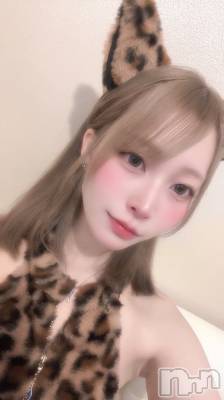 ʥå륺С󥻥ץȥե ˤޤ(󥻥ץȥե˥ޥ륭奦ǥ) ʤ327̥֥🏐