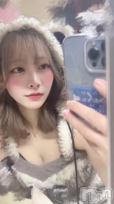ʥå륺С󥻥ץȥե ˤޤ(󥻥ץȥե˥ޥ륭奦ǥ) ʤ43̥֥4ơ🌸