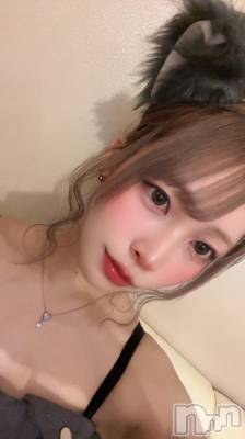 ʥå륺С󥻥ץȥե ˤޤ(󥻥ץȥե˥ޥ륭奦ǥ) ʤ412ָ̥֥äѤ
