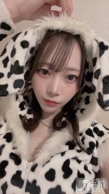ʥå륺С󥻥ץȥե ˤޤ(󥻥ץȥե˥ޥ륭奦ǥ) ʤ75̥֥轵