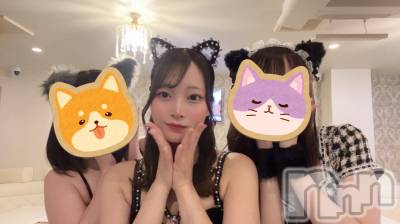 ʥå륺С󥻥ץȥե ˤޤ(󥻥ץȥե˥ޥ륭奦ǥ) ʤ75̥֥֥ܥĤˤʤä̿