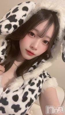 ʥå륺С󥻥ץȥե ˤޤ(󥻥ץȥե˥ޥ륭奦ǥ) ʤ731̥֥֤꤬Ȥޤ🙂‍↕️🐾