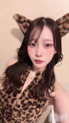 ���褤�衪��