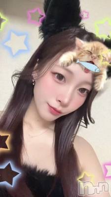 ��������Ǥ��衼����