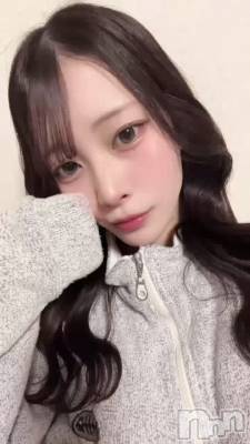 ���٤���������������