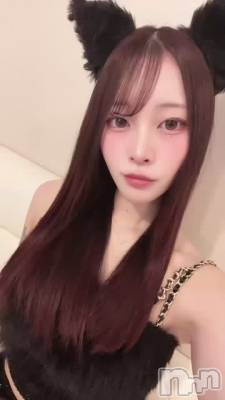 ��֤������