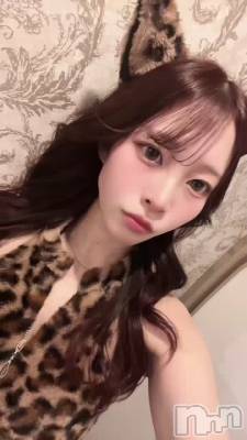 �����衪��