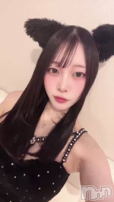 �פ��֤�ʵ�������