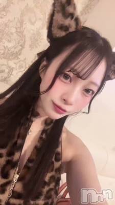 ͥ���������ߤ���