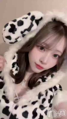 ⤦ʡ
