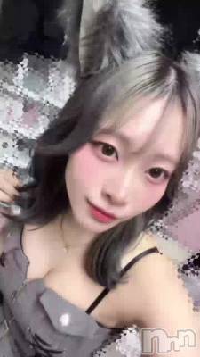 513 2055ʬΥ֥