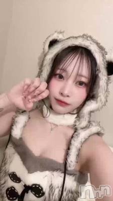 🐻ྀི🐻ྀི🐻ྀི
