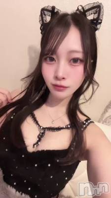 ��������͡�🐾