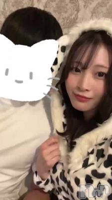 🐩🐩