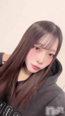 �٤�Τ�����٤�