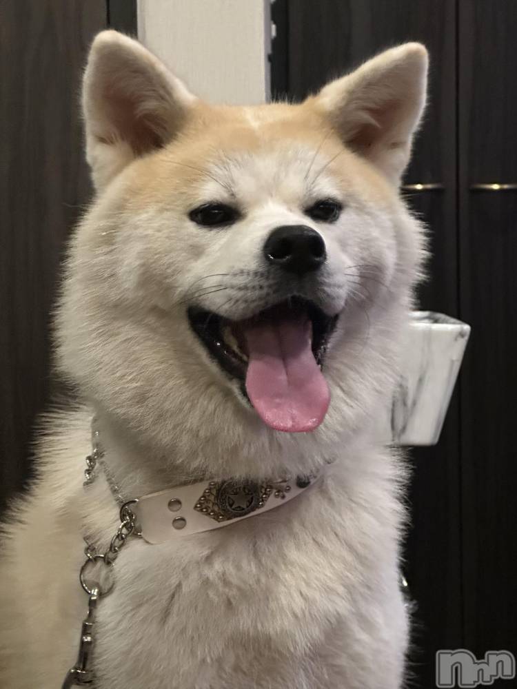 ĮХ顦lounge  Remika(饦󥸥ߥ) 918ֺ̥֥🐶