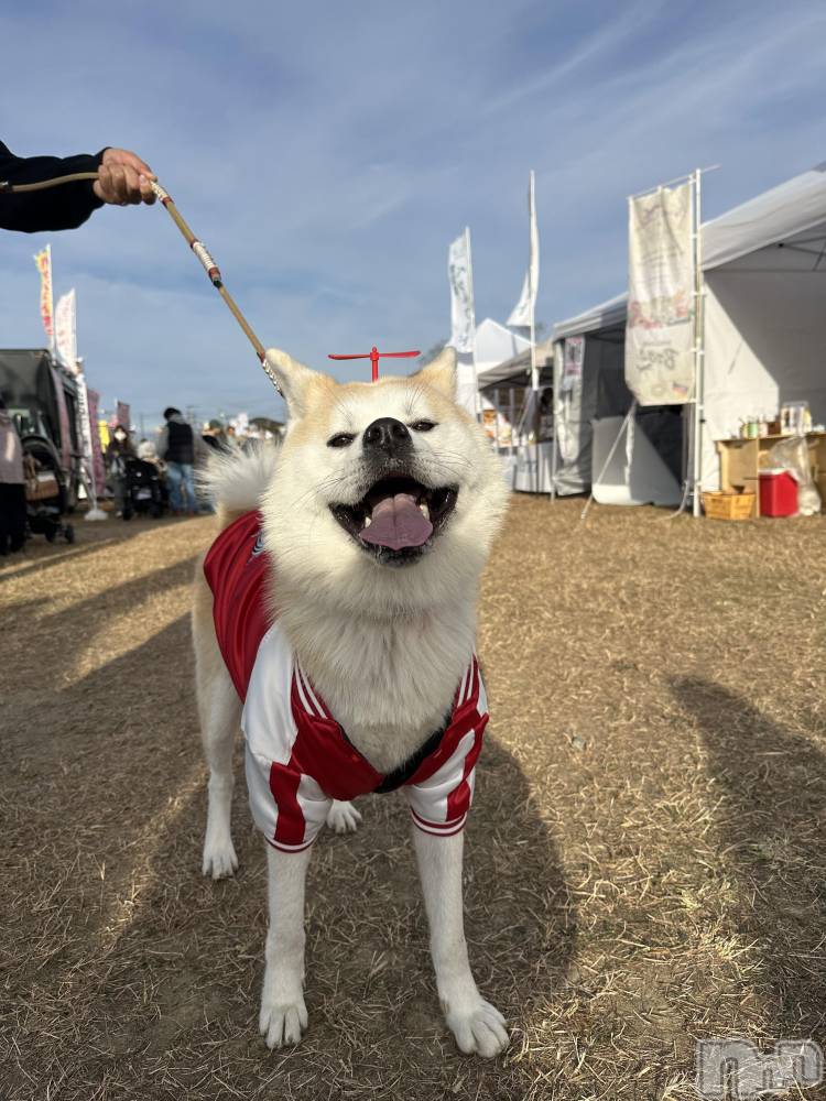 ĮХ顦lounge  Remika(饦󥸥ߥ) 122̥֥ڶڤϲ񤨤🐶