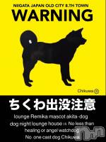 ĮХ顦lounge  Remika(饦󥸥ߥ) 92̥֥Ǯ🐶