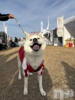 ĮХ顦lounge  Remika(饦󥸥ߥ) 122̥֥ڶڤϲ񤨤🐶