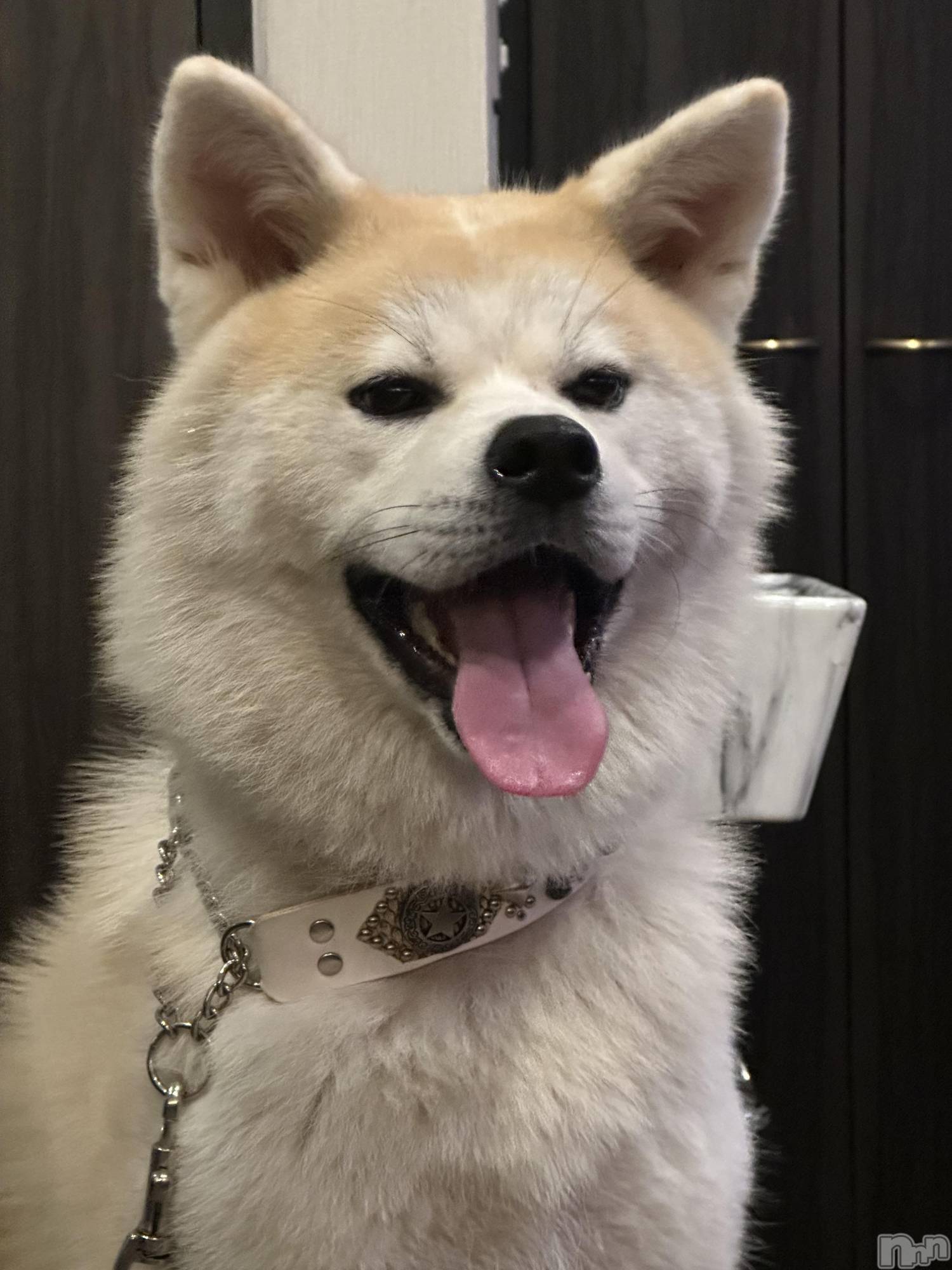 ĮХ顦lounge  Remika(饦󥸥ߥ) 2025ǯ918ֺ̥֥🐶