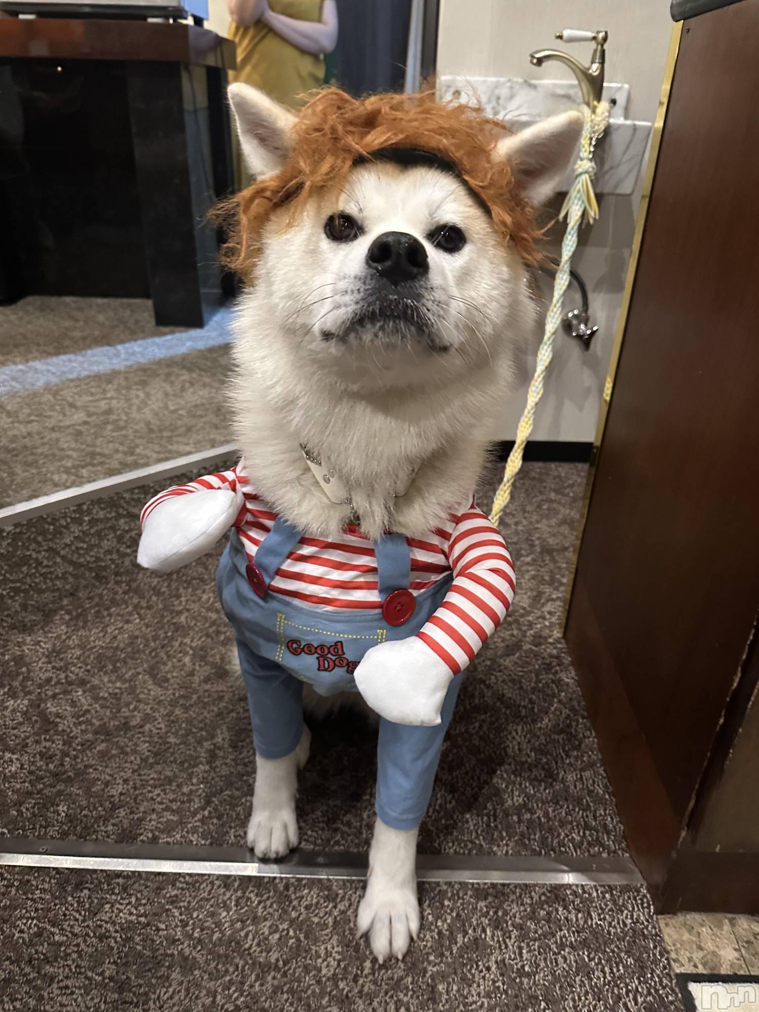 ĮХ顦lounge  Remika(饦󥸥ߥ) 2025ǯ930̥֥֥ϥν🐶
