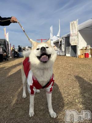 ĮХ顦lounge  Remika(饦󥸥ߥ) 122̥֥ڶڤϲ񤨤🐶