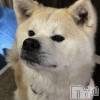 ちくわの最新ブログ「久しぶり🐶」