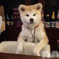 ちくわ さんのプロフィール画像