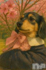 長岡デリヘルROOKIE(ルーキー) すず☆プラチナ(19)の6月30日写メブログ「最速23:30～❣️」