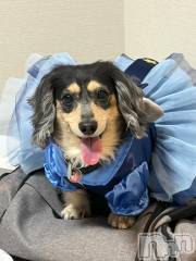 長岡デリヘルROOKIE(ルーキー) すず☆プラチナ(20)の6月17日写メブログ「新しい試み🆕」