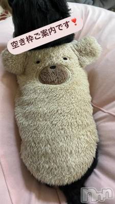 長岡デリヘル ROOKIE(ルーキー) すず☆プラチナ(19)の2月4日写メブログ「空き枠案内❣️」