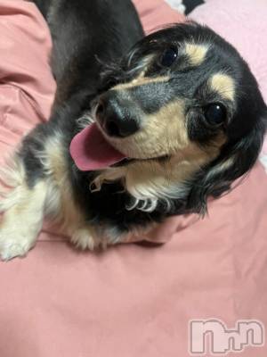 長岡デリヘル ROOKIE(ルーキー) すず☆プラチナ(19)の3月10日写メブログ「3/9 お礼日記」