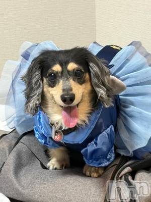 長岡デリヘル ROOKIE(ルーキー) すず☆プラチナ(19)の6月17日写メブログ「新しい試み🆕」