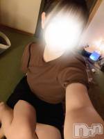 今週のお知らせ☘️