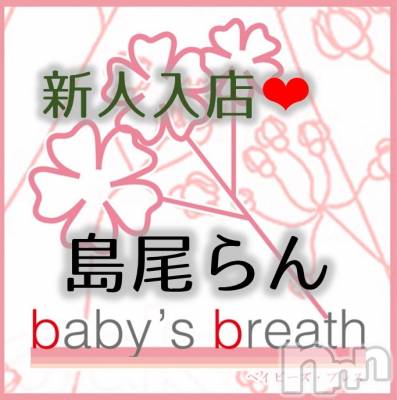 㡦ȯĥꥢ󥺥baby's breath(٥ӡ ֥쥹) 122̥֥ʤޤˤǤꤤޤ