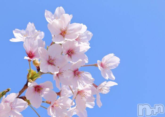 ���ܱ�������Х��顦�����CLUB FOUR LEAF(�ե����꡼��) �����ޤ�3��14���̥�֥����ֽжФ��ޤ�������